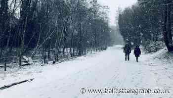 Weather warnings in place across Ireland as island sees heavy snow in parts