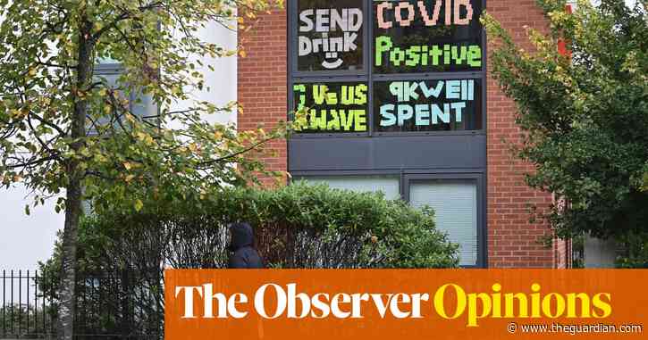 Universities need to wise up – or risk being consigned to history | John Naughton