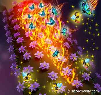 Sweet Coating for Sour Bones: Bridge-Burning Coating for Bone Implants