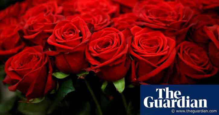 Coming up roses: business begins to bloom after Australian flower industry hit by pandemic