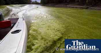 Toxic blooms and local fury: what's going on at Menindee Lakes?