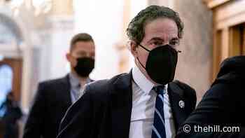 Raskin invokes his son in closing impeachment arguments