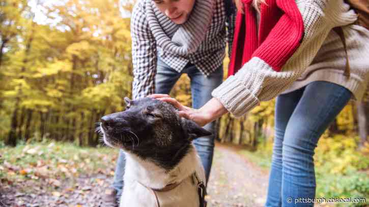 130 More State Park Campsites To Allow Pets