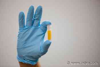Michigan reports 852 new coronavirus cases, 88 deaths - MLive.com