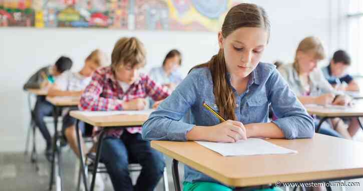 NYT Surveys 175 Pediatric Doctors on Schools – Nearly All of Them Said to Open