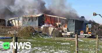 Brand bij houtverwerkingsbedrijf in Aalter opgelost: rookpluim was zichtbaar tot in Drongen - VRT NWS