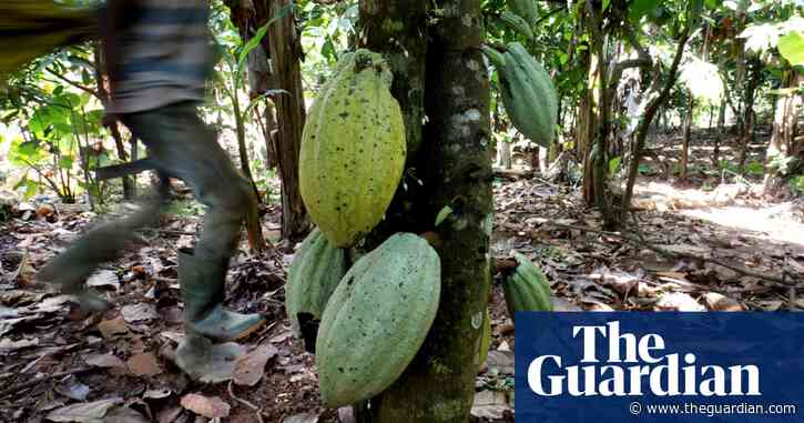 Mars, Nestlé and Hershey to face child slavery lawsuit in US