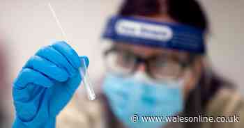 New coronavirus testing rules announced for travellers arriving into Wales - WalesOnline