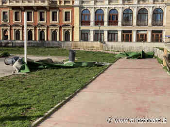 Via Boccaccio, la bora danneggia il prato di erba sintetica - triestecafe.it