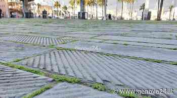 La vera svolta “green” di Genova: nelle piazze del centro erba e piante crescono rigogliose - Genova24.it