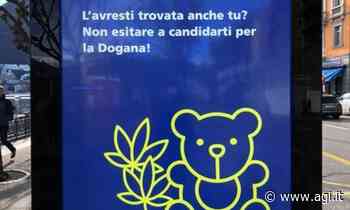 15:48 "Trova l'erba nell'orsacchiotto?". L'esilarante reclutamento dei doganieri svizzeri - AGI - Agenzia Italia