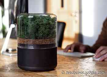 Briiv sustainable air purifier inspired by nature