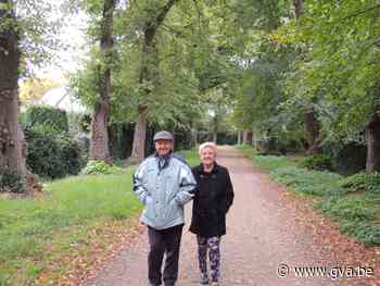 Boomverzorgers nemen monumentale dreef Ginhoven onder handen (Wuustwezel) - Gazet van Antwerpen Mobile - Gazet van Antwerpen