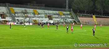 Un altro pareggio, meritato. Matelica-Vis Pesaro finisce 1-1 - Solo Vis Pesaro