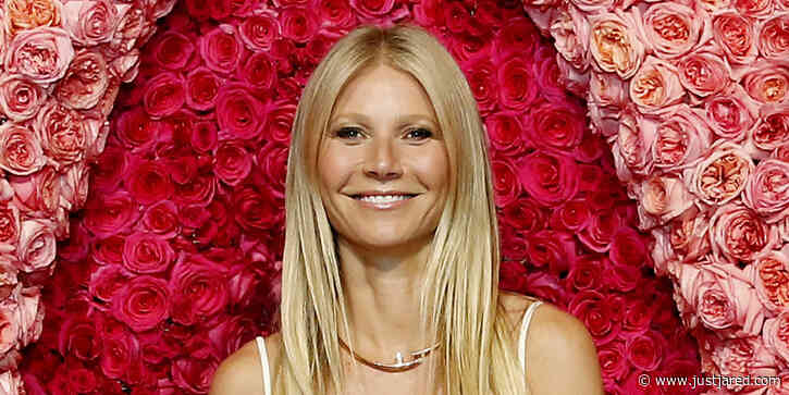 Gwyneth Paltrow's Goop Unveils First Adult Toy