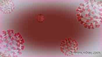 Low coronavirus case numbers continue, state reports one new death Sunday - WBAY