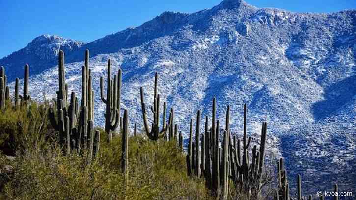Presidents’ Day looking clear and cool for all of Southern Arizona