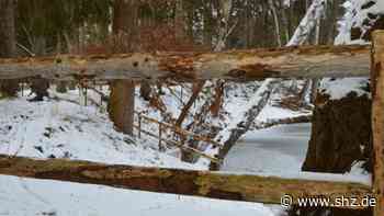 Vater ertrinkt: Unfall an Kösterkuhle in Tornesch: Kein Ermittlungsverfahren wegen fahrlässiger Tötung | shz.de - shz.de