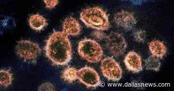Dallas County reports 885 coronavirus cases, 10 deaths; Tarrant adds 797 cases, 11 fatalities - The Dallas Morning News