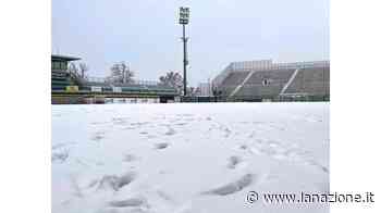 Il Grifo ancora Fermo, l’ira della società - LA NAZIONE