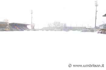 Qui è tutto Fermo: Grifo, partita in dubbio - umbriaON