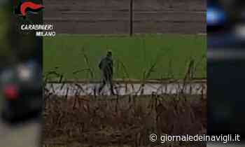 Uccisa in strada a coltellate, convalidato il fermo per il compagno - Giornale dei Navigli