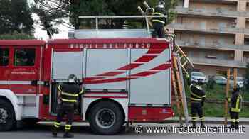 Scuola allagata a Fermo: lezioni in presenza saltate - il Resto del Carlino