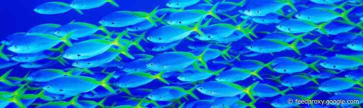 Haal meer uit trends met de volgende 4 stappen