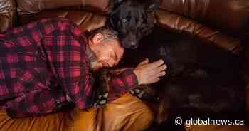 Calgary veterans fundraising to cover service dog’s medical bills