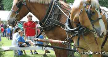 Coronavirus: Salmon Arm’s Heritage Week moved online - Global News
