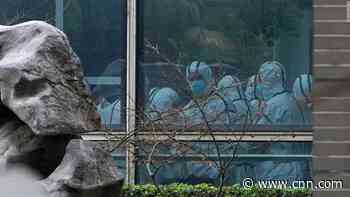 The mission also found there were over a dozen strains of the virus in Wuhan already in December 2019