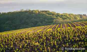 From Crisis to Possibility: Five Aspirations for our Food System – Food Tank - Food Tank