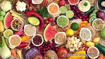 Doctor Champions Whole-Food Plant-Based Diet On Prominent Health Podcast - Plant Based News