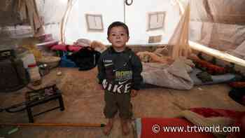 WFP: Millions face food insecurity in war-torn Syria - TRT World