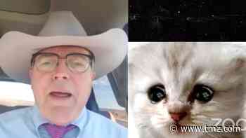 Zoom Cat Lawyer Says He's No Longer Embarrassed, Wants to Sell Merch