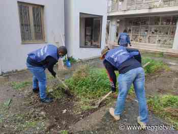 Ripulito il Cimitero di Modena, Nucera: 'Reggio sommersa dai rifiuti, ora basta. Falcomatà risolva o si dimetta' - Reggio TV
