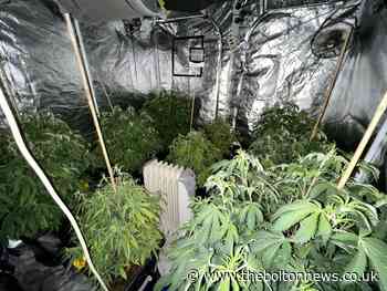Cannabis farm seized by police in Tonge