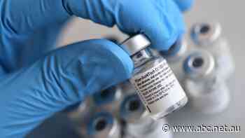 The countries already using the Pfizer coronavirus vaccine