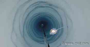 Antarctic researchers discover mysterious creatures deep beneath ice shelf     - CNET