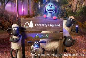 Free half term activities that you can do from home