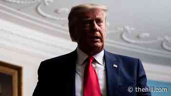 Nearly 60 percent say Trump should have been convicted in impeachment trial: poll