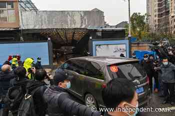 Wuhan already had 13 variants of Covid by December 2019, WHO team finds