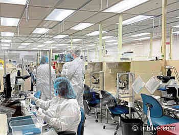 Want to help make a baby? Jobs available at Cook Medical for in vitro fertilization devices. - TribLIVE