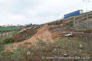 Shock and anger in Epping Forest hamlet after trees next to M11 removed