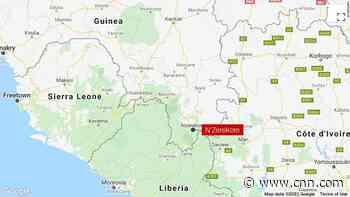 Countries on high alert after Ebola outbreak in Guinea