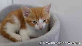 RSPCA Bolton receive £2,000 Valentine's donation