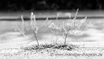 Wie Dankbarkeit Ihre Stimmung sofort verbessert und Stress reduziert