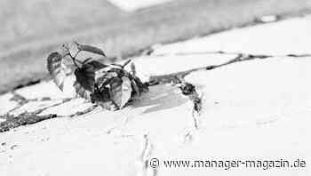 Resilienz stärken: Ein vierstufiges Trainingsprogramm