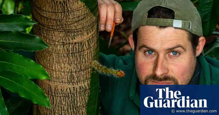 Ready, steady, bloom! Botanists wait for rare cactus to open for one night only