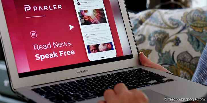 Parler, a preferred social-media platform for the far-right, is back online with Mark Meckler as interim CEO